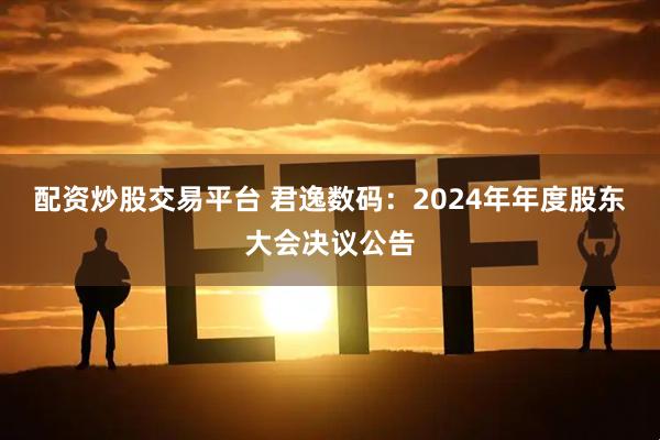 配资炒股交易平台 君逸数码：2024年年度股东大会决议公告