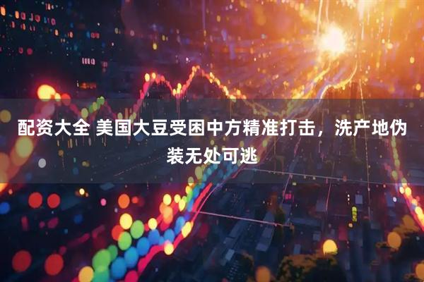 配资大全 美国大豆受困中方精准打击，洗产地伪装无处可逃