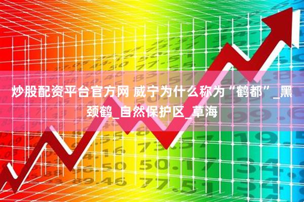 炒股配资平台官方网 威宁为什么称为“鹤都”_黑颈鹤_自然保护区_草海
